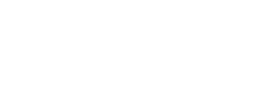 盛岡セイコー工業株式会社